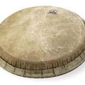 Remo 11'' Conga Derisi