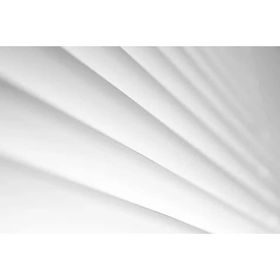Remo 12'' Batter Pinstripe Kaplamalı Davul Derisi