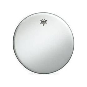 Remo 12 inç Ambassador Kaplamalı Tom Derisi