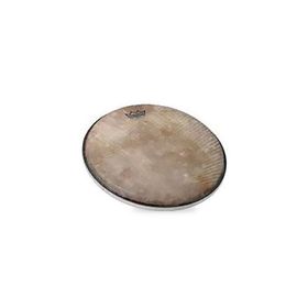 Remo 8'' Skyndeep Darbuka Derisi