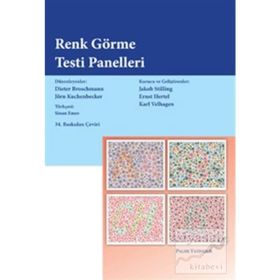 RENK GÖRME TESTI PANELLERI - KOLEKTIF
