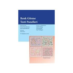RENK GÖRME TESTI PANELLERI - KOLEKTIF