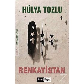 Renkayistan - Hülya Tozlu