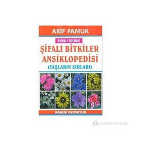 RENKLI RESIMLI ŞİFALI BITKILER ANSIKLOPEDISI (TAŞLARIN SIRLARI) - ARIF PAMUK