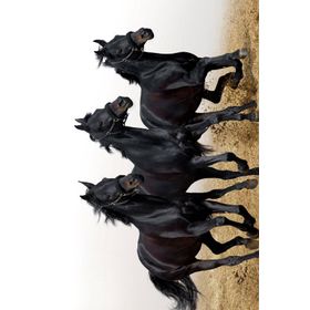 Resmiro MRC1552 At Tasarımlı Dijital Baskılı Halı