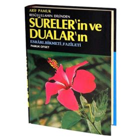 RESULULLAHIN DILINDEN SURELERIN VE DUALARIN FAZILETI ESRARI, HIKMETI VE FAZILETI (DUA: 071/P20) - ARIF PAMUK