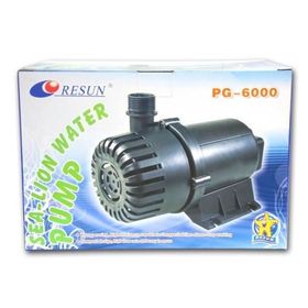 Resun 6000 L-H Devirdaym Motoru
