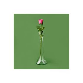 Retro Time 50 cm Asorti Islak Gül Dalı