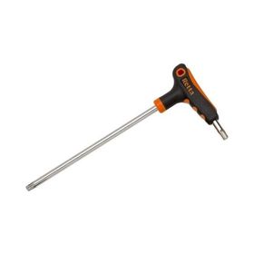 Retta RXT2015 15x100 mm Delikli T Torx Allen