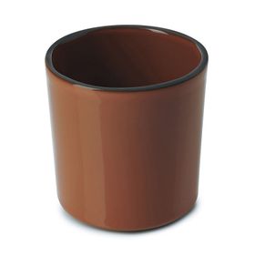 Revol Caractere Tarçın 220 ml Kupa