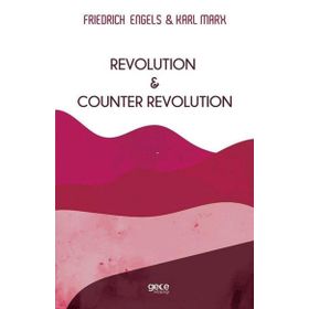 Revolution and Counter Revolution - Karl Marx