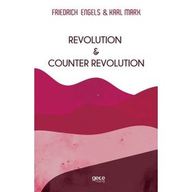 Revolution and Counter Revolution - Karl Marx