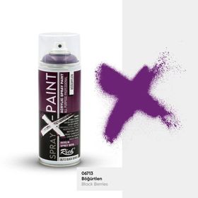 Rich Spray X-Paint 400 ml Böğürtlen Akrilik Sprey Boya