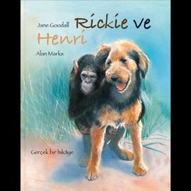 Rickie ve Henri Meav Yayıncılık