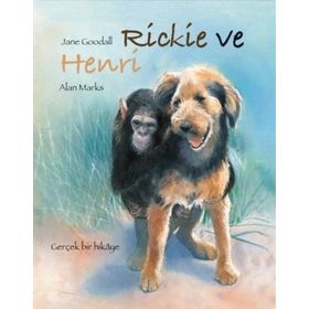 Rickie ve Henri Meav Yayıncılık
