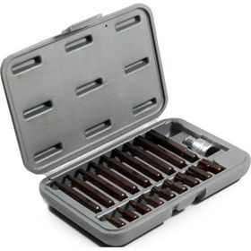 RİCO 005-KK0003 19 Parça Kaplamalı Torx Bits Set