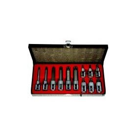 Rico 007-RC7004 12 Parça M Tipi Torx Lokma Seti