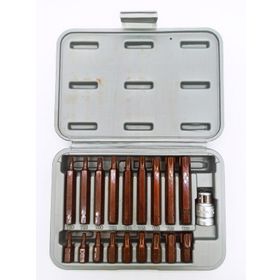 RİCO 19 Parça Kaplamalı Torx Bits Set