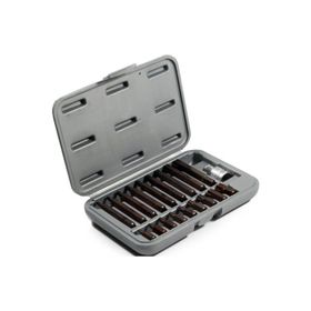RİCO 19 Parça Kaplamalı Torx Bits Set