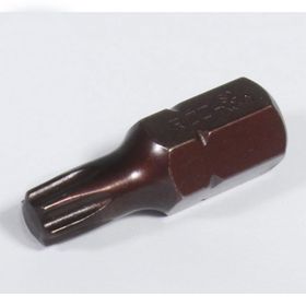 Rico T45 30 mm Kaplamalı Mıknatıslı Torx Tork Bits Uç Ucu