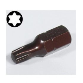 Rico T45 30 mm Kaplamalı Mıknatıslı Torx Tork Bits Uç Ucu