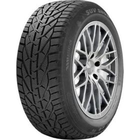 Riken 195/55 R16 87H Snow Kış Lastiği Üretim Yılı: 2024