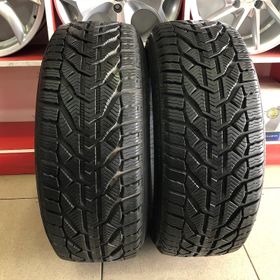 Riken 205/45 R17 88V XL Snow Kış Lastiği