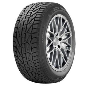 Riken 205/50 R17 93V XL Snow Kış Lastiği