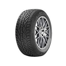 Riken 205/50 R17 93V XL Snow Kış Lastiği