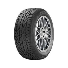 Riken 205/60 R16 96H XL Snow Kış Lastiği 2025
