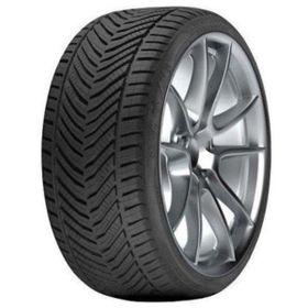 Riken 225/50 R17 98V XL All Season Dört Mevsim Lastiği
