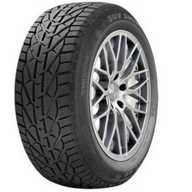 Riken 225/50 R17 98V XL Snow Kış Lastiği