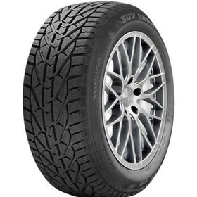 Riken 225/50 R17 98V XL Snow Kış Lastiği