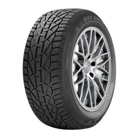 Riken 225/55 R16 95H Snow Kış Lastiği