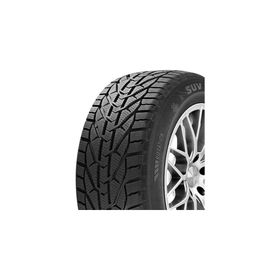 Riken 245/45 R18 100V XL Snow Kış Lastiği