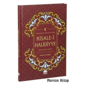 Risale-i Halidiyye : Tasavvuf İlminin Tarihi Seyri ve İzahlı - Mümine Erdoğan