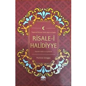 Risale-i Halidiyye : Tasavvuf İlminin Tarihi Seyri ve İzahlı - Mümine Erdoğan