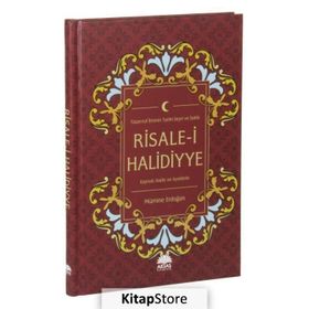 Risale-i Halidiyye : Tasavvuf İlminin Tarihi Seyri ve İzahlı - Mümine Erdoğan