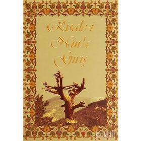 RISALE-I NUR'A GIRIŞ - KOLEKTIF