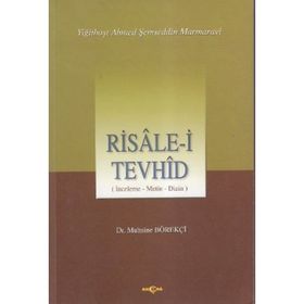 RISALE-I TEVHID İNCELEME-METIN DIZISI - MUHSINE BÖREKÇI