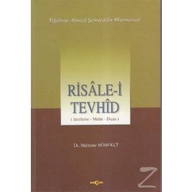 RISALE-I TEVHID İNCELEME-METIN DIZISI - MUHSINE BÖREKÇI