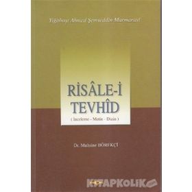 RISALE-I TEVHID İNCELEME-METIN DIZISI - MUHSINE BÖREKÇI
