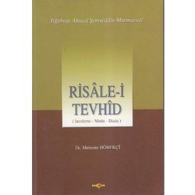 RISALE-I TEVHID İNCELEME-METIN DIZISI - MUHSINE BÖREKÇI