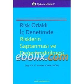 Risk Odaklı İç Denetimde Risklerin Saptanması ve Değerlendirilmesi - E. Handan Sümer Göğüş
