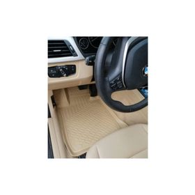 Rizline Bmw F30 2012 / 2018 3d Havuzlu Paspas