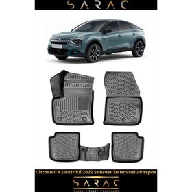 Rizline Citroen C4 Elektrikli 2024 Model 3D Havuzlu Paspas