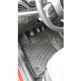 Rizline Fiat Egea Hb 3D Havuzlu Paspas