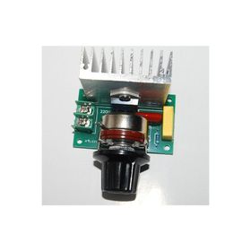 Robot Diyarı AC 220V 4000W Dimmer Regülatör