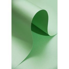Roco Paper Sedef Açık Yeşil 160 GR 50x70 CM Fon Kartonu