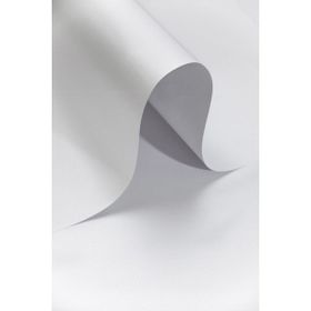 Roco Paper Sedef Beyaz 160 GR 50x70 CM Fon Kartonu